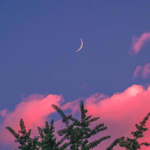 肥胖妓女又肥又大
