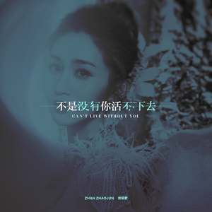 肥胖妓女又肥又大
