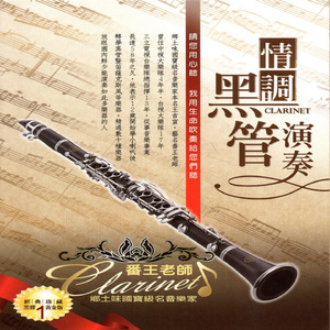 肥胖妓女又肥又大
